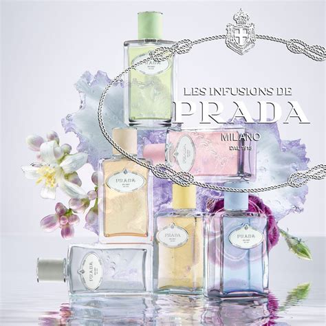 les infusions iris prada buy cheap|prada infusion d'iris sephora.